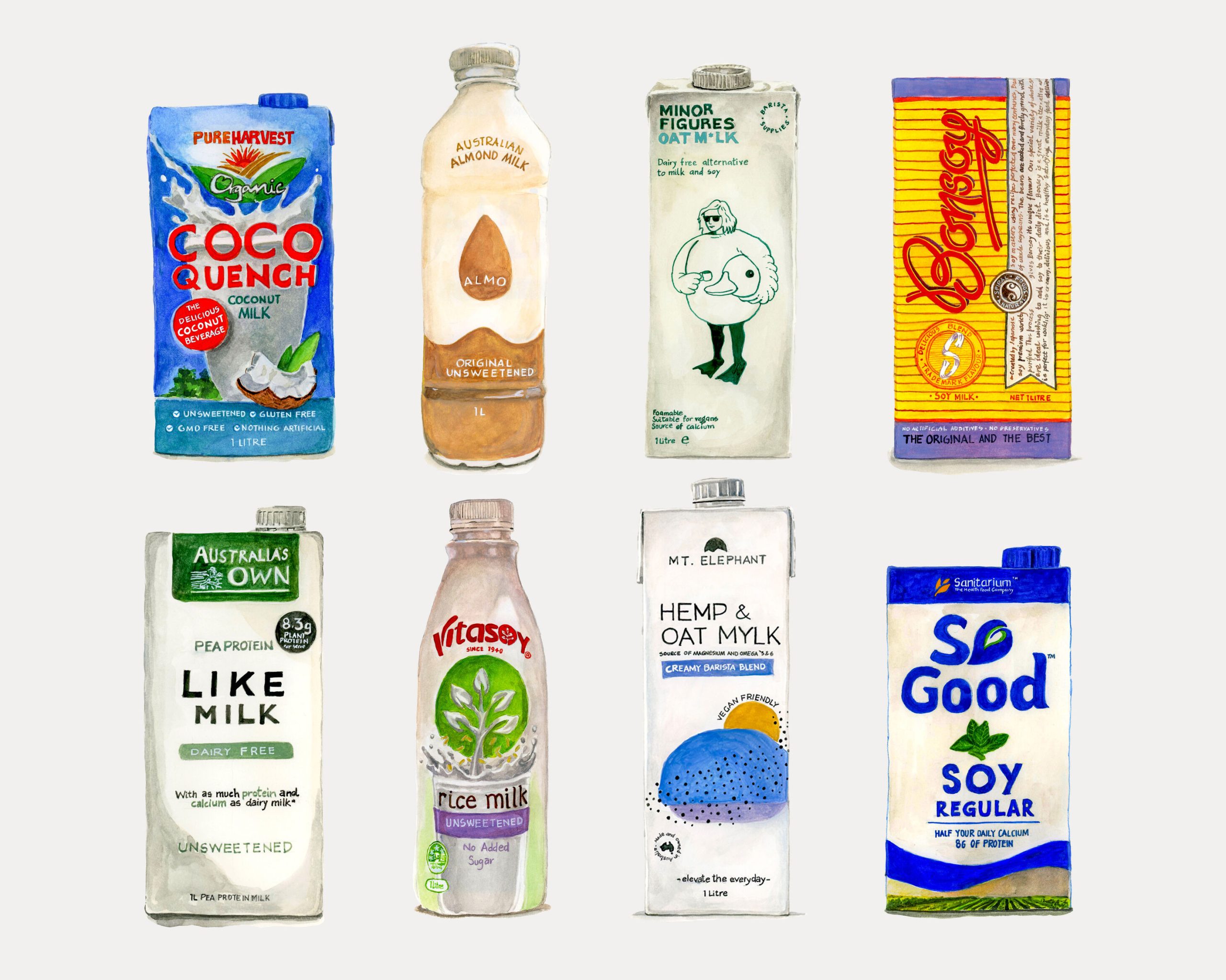 Alternative milks road test illustration for frankie magazine